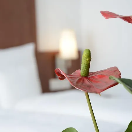 Hotell Weichandhof