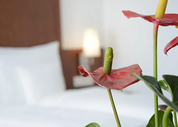 מלון Weichandhof